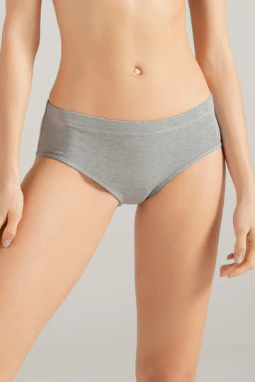 Panty cachetero paquete por 3